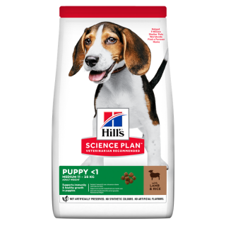 170105-SP-Canine-Puppy-Lamb-Rice-14kg-604353
