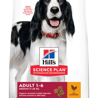 170107-SP-Canine-Adult-Chicken-14kg-Breeder-bag-604356