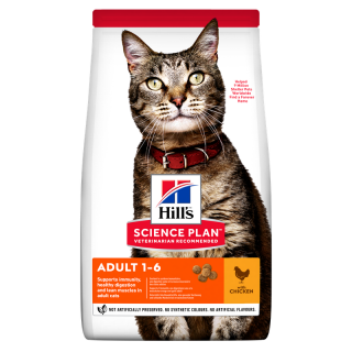 170598-SP-Feline-Adult-Chicken-300g-604055