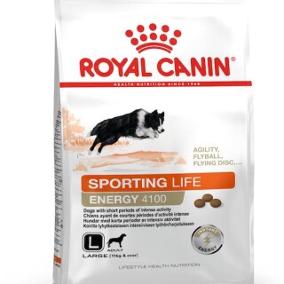 18spt-wss-lhn-energy4100-working-sporting-service-dog-hr