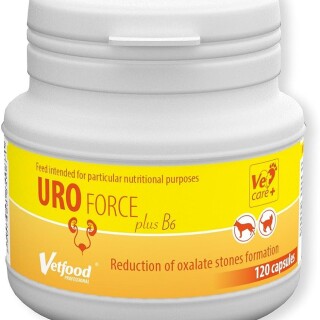 610-G1xi4-V8-L-AC-UF1000-1000-QL80