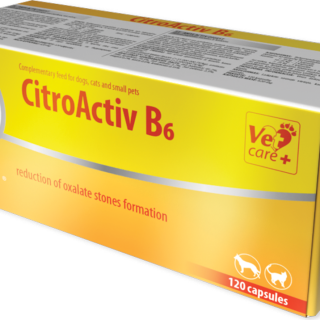 8c5df4cf873f32747515c5daf18e