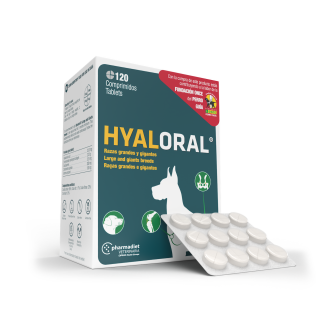 Hyaloral-Giant55404d999e9e36c5