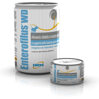 IC190719526ddce1e221ea7fa9