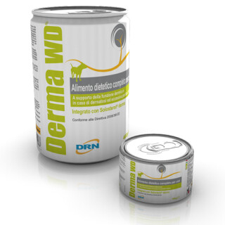 IC1907195496456ac4e29a2d6a