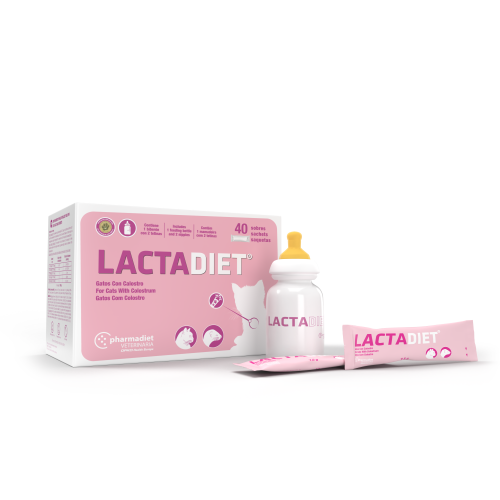 Lactadiet-Gatos-1.png