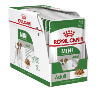 Mini-adult-600x600