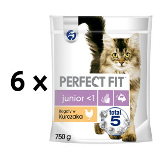 Sausas-dalas-PERFECT-FIT-ka-iukams-su-vi-t-750g-x-6-vnt-pakuot