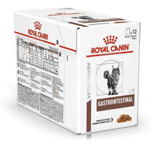 big-gastrointenstinal.jpg
