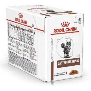 big-gastrointenstinal
