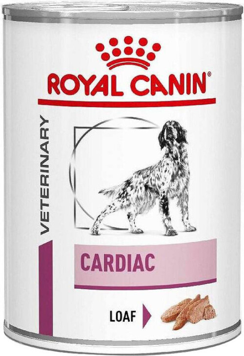 big-rc-cardiac-mokra.jpg