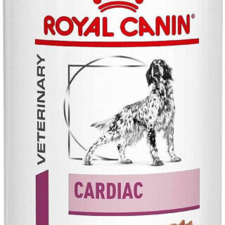 big-rc-cardiac-mokra