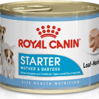 big-royal-canin-starter-motherbabydog-195g-0