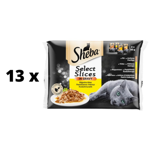 dalas-kat-ms-SHEBA-pauk-tienos-rinkinys-mai-eliuose-4-x-85-g-x-13-vnt.png