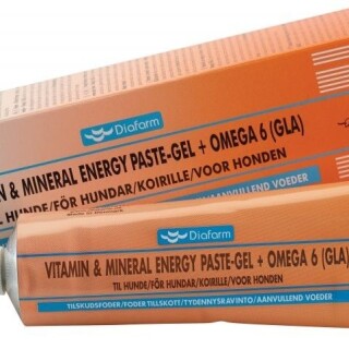 diafarm-vitamin-vitmin-energy-gelomega-6-pasta-sunims-100g