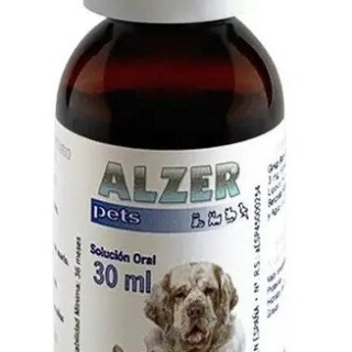 ezgif-com-webp-to-jpg-10