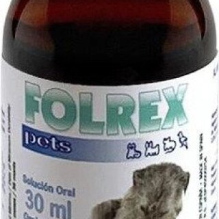 ezgif-com-webp-to-jpg-12324fd8d197b757b1