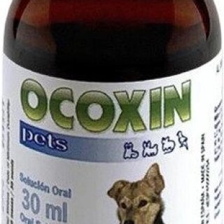 ezgif-com-webp-to-jpg-15