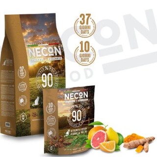 ezgif-com-webp-to-jpg-2023-09-02-T214718-37317861f3bc22a7158