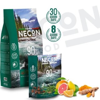 ezgif-com-webp-to-jpg-2023-09-02-T220627-726