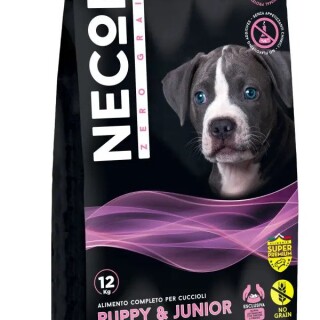 ezgif-com-webp-to-jpg-2023-09-02-T235125-392