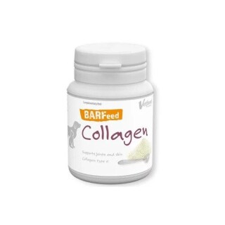 ezgif-com-webp-to-jpg-31