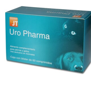 ezgif-com-webp-to-jpg-40