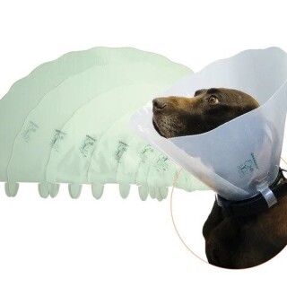 ezgif-com-webp-to-jpg-44403f00b776916889