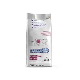 ezgif-com-webp-to-jpg-63