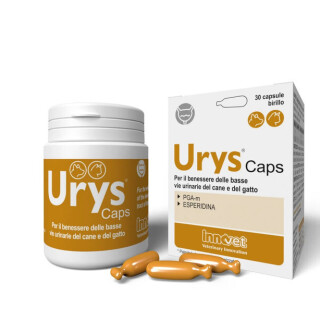 ezgif-com-webp-to-jpg-converted-4