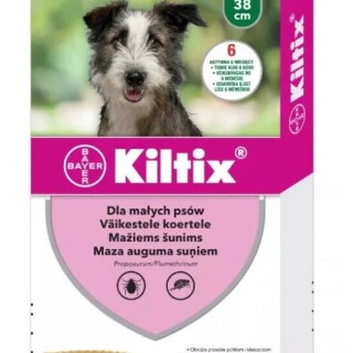 ezgif-com-webp-to-jpg