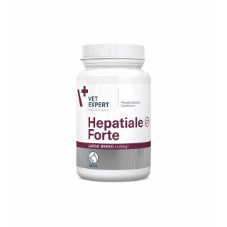 hepforte-LB