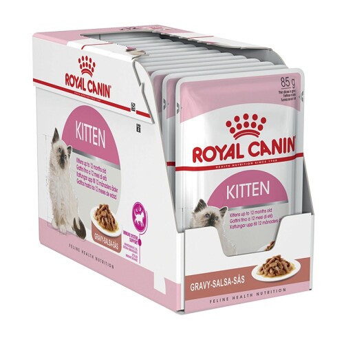large-royal-c-gravy-kitten-85gx12.jpg