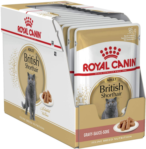 royal-canin-fbn-wet-85gx12-british-shorthair-katems.png