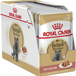 royal-canin-fbn-wet-85gx12-british-shorthair-katems