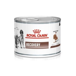 royal-canin-vd-dogcat-recovery-konservai-gyv-nams