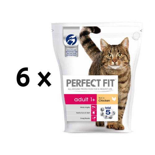 sausas-dalas-PERFECT-FIT-1.png