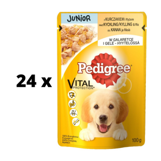 un-dalas-PEDIGREE-Junior-su-vi-tiena-mai-eliuose-100-g-x-24-vnt