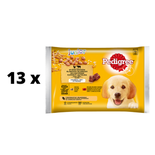 un-dalo-rinkinys-PEDIGREE-Junior-4-x-100-g-x-13-vnt