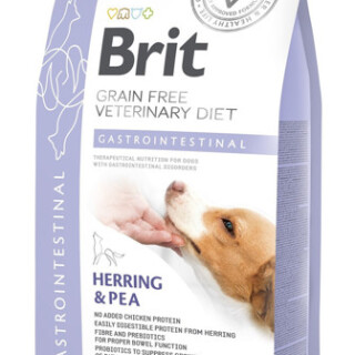 0003118-brit-gf-veterinary-diets-gastrointestinal-sausas-maistas-sunims-2-kg-600