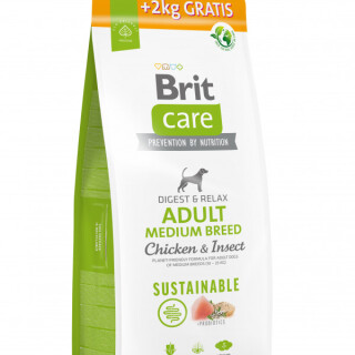 12-2kg-Sustain-AMB-medium