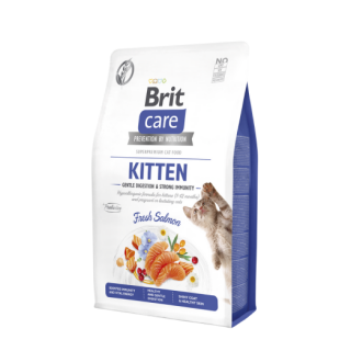BC-Kitten92e66ac04bb7242f