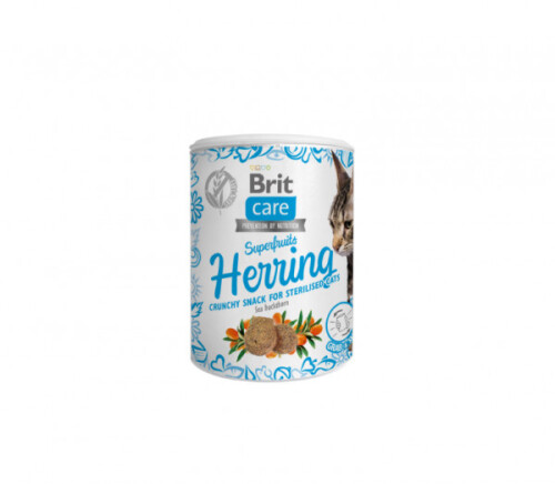 Brit-Care-Cat-skanestas-Superfruits-Herring-100g-600x523-medium.jpg