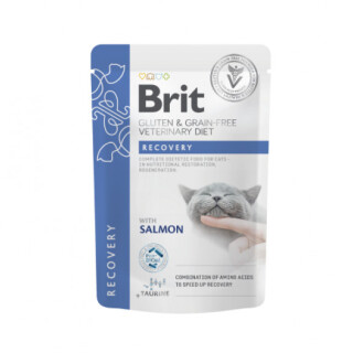Brit-Veterinary-Diet-Cat-Recovery-mais-elis-medium