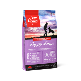 ORIJEN-Puppy-Large