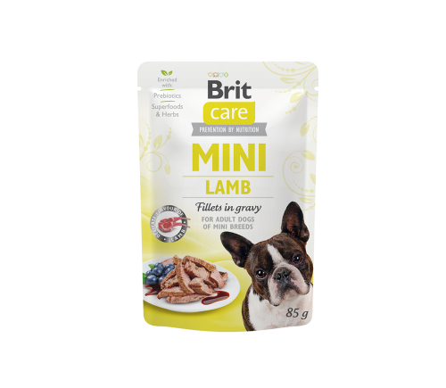 bc-mini-lamb.png