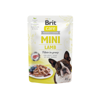 bc-mini-lamb