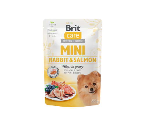 bc-mini-rabbit-salmon.png