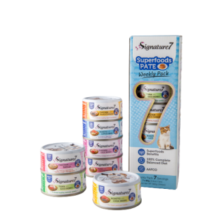 bc-sustainable-junior-l-1