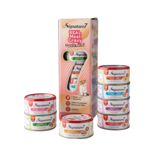 bc-sustainable-junior-l